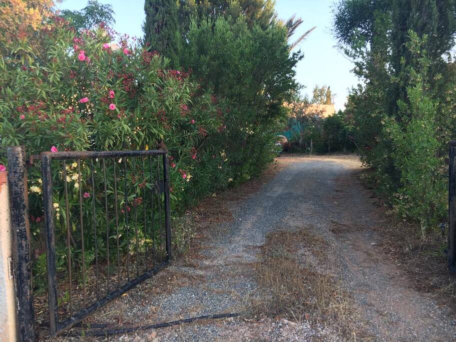 Entrance road