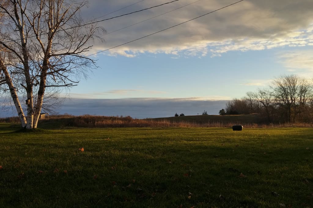Back yard view from the deck