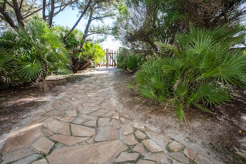 Successful Airbnb property: Villa Cornelio, on the beach a short walk from the sea in Orosei