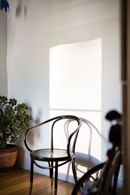 Bentwood chair and afternoon light