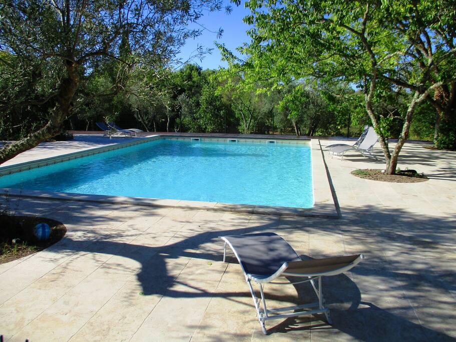 La piscine et sa plage