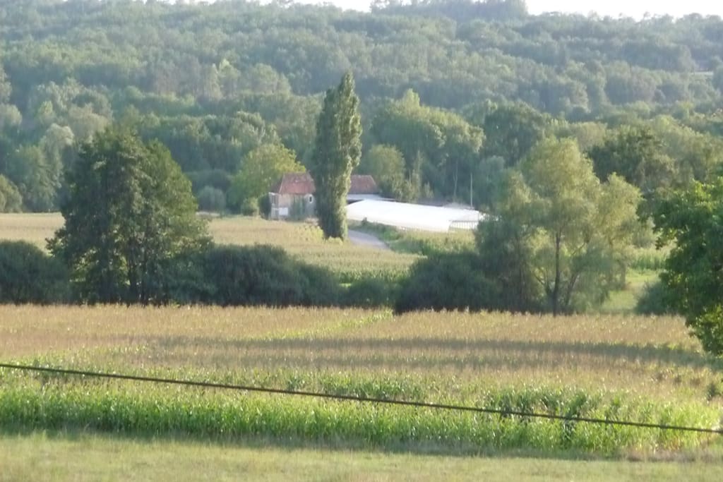 View from the Garden