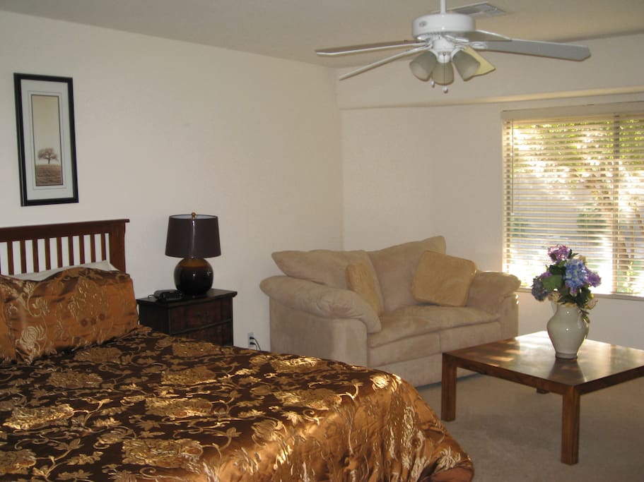 Sitting Area in Master Bedroom with Large TV
