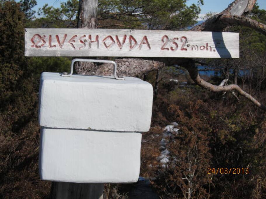 Gode turmuligheter i nærområdet. Utsikt fra Ølveshovda, 252 moh.
