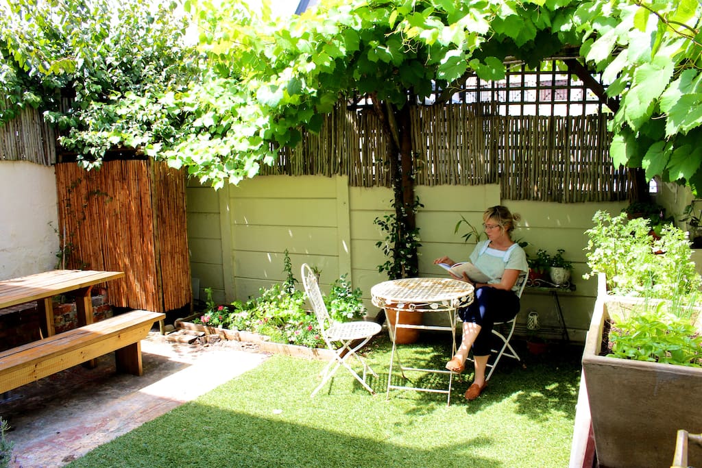 Our little morning coffee table underneath the grapevine.