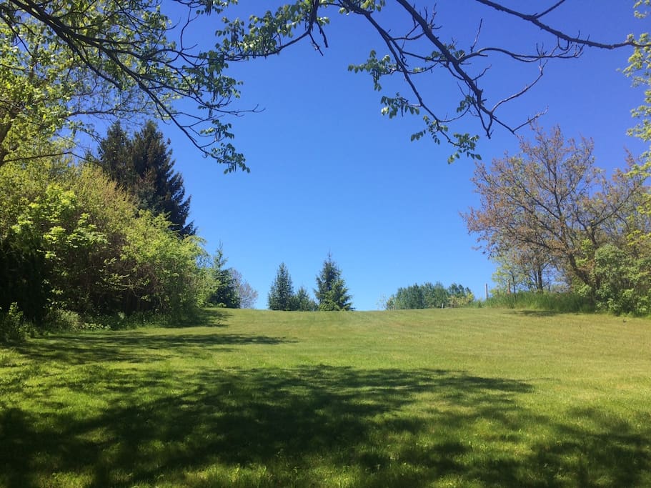 West View of the Field