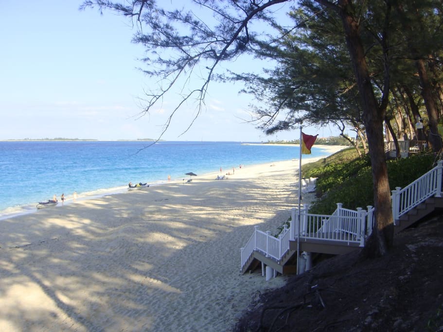 Life in Paradise