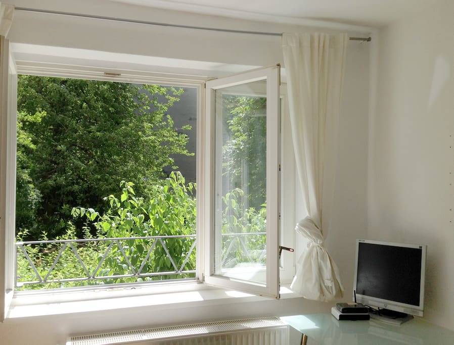 Living Room / View at the backyard Park
