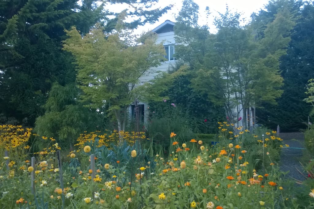 Late summer flowers with the upstairs Garden Suite in the background.