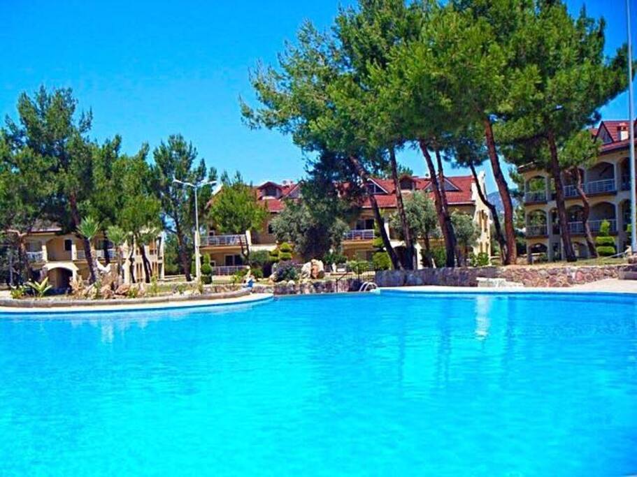Top swimming pool