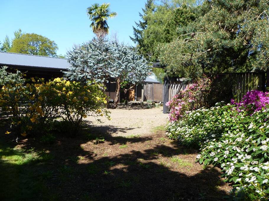 Front garden