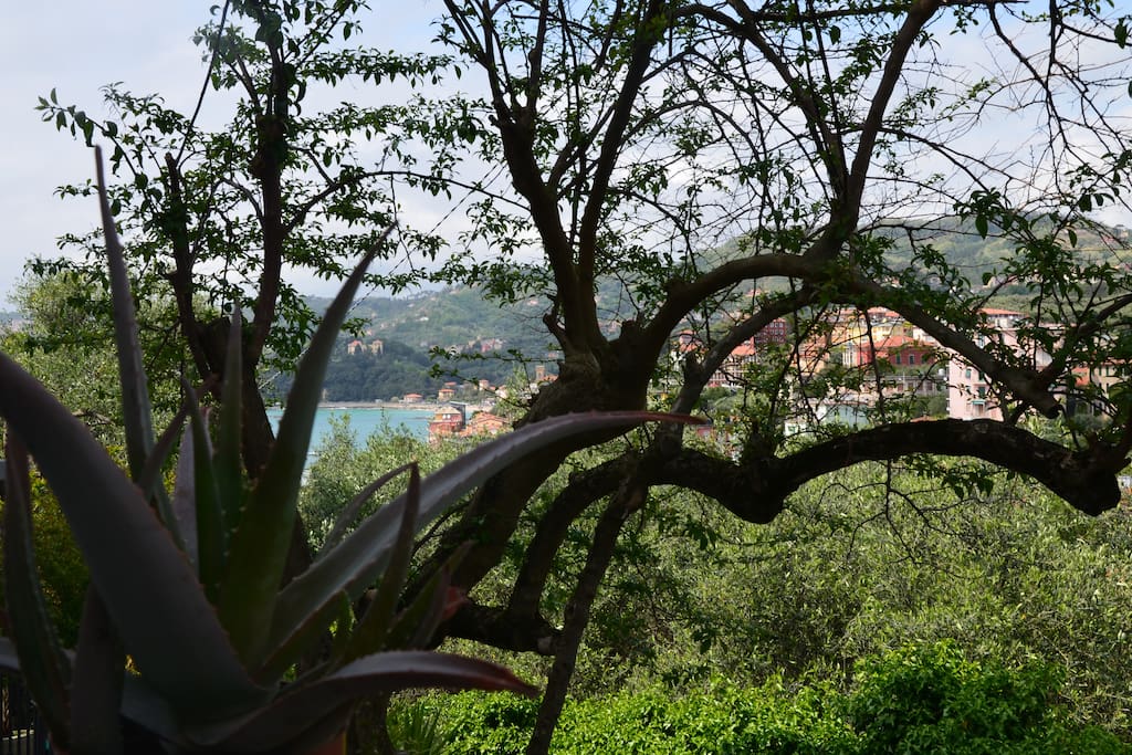 Vista dal giardino