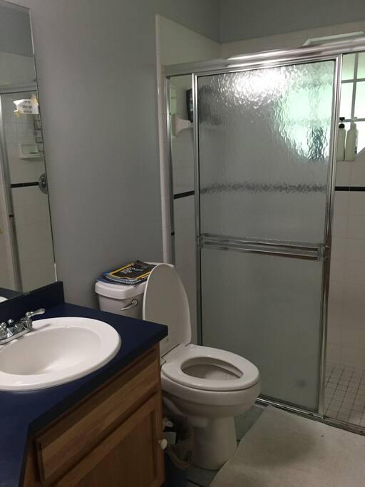Guest bathroom
