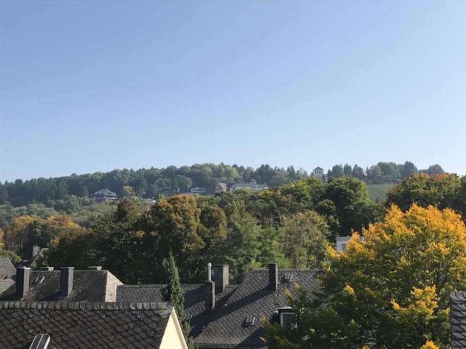Blick auf die Trier-Olewiger Weinberge