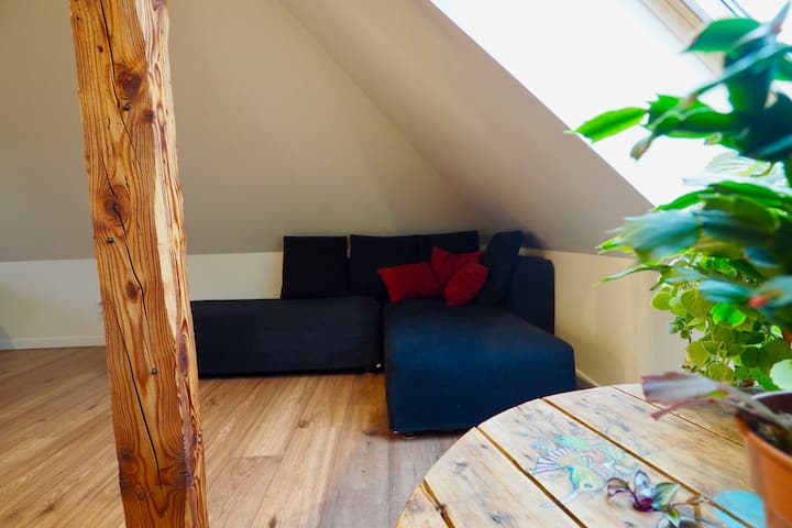 Petit Loft (40m2) Cosy - Ostwald