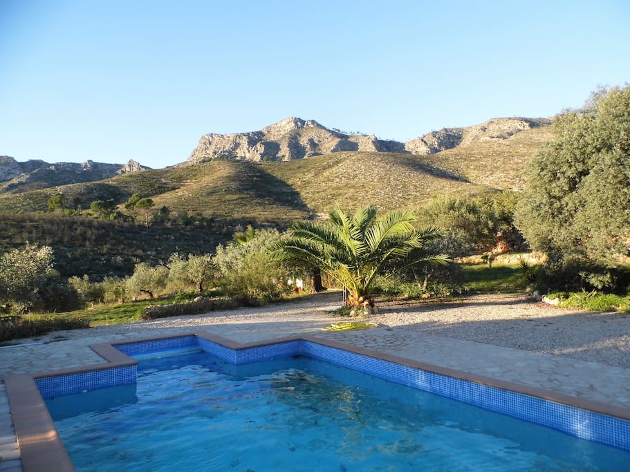 Poolside at the Hacienda
