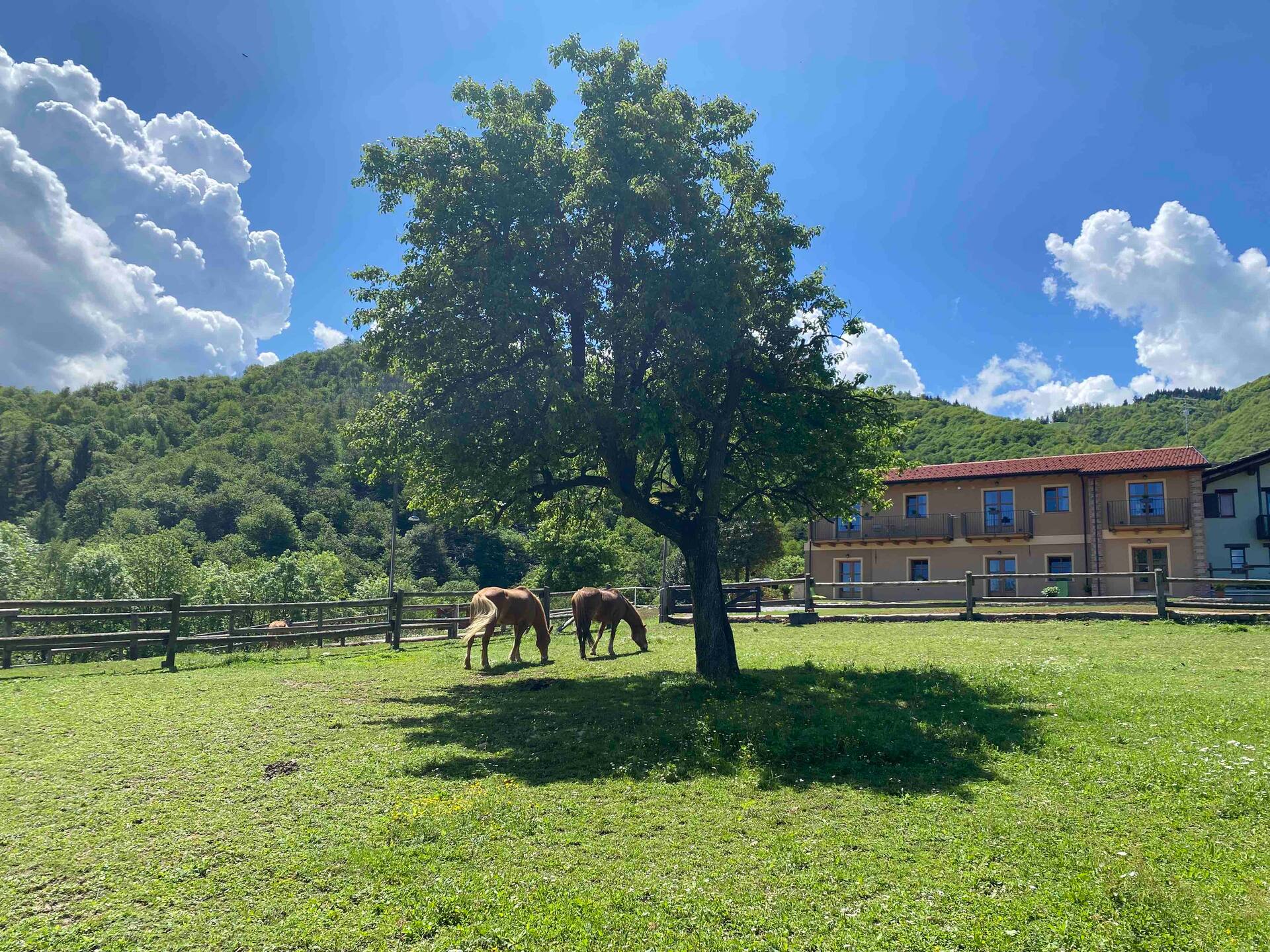 Ranch Enbrucà