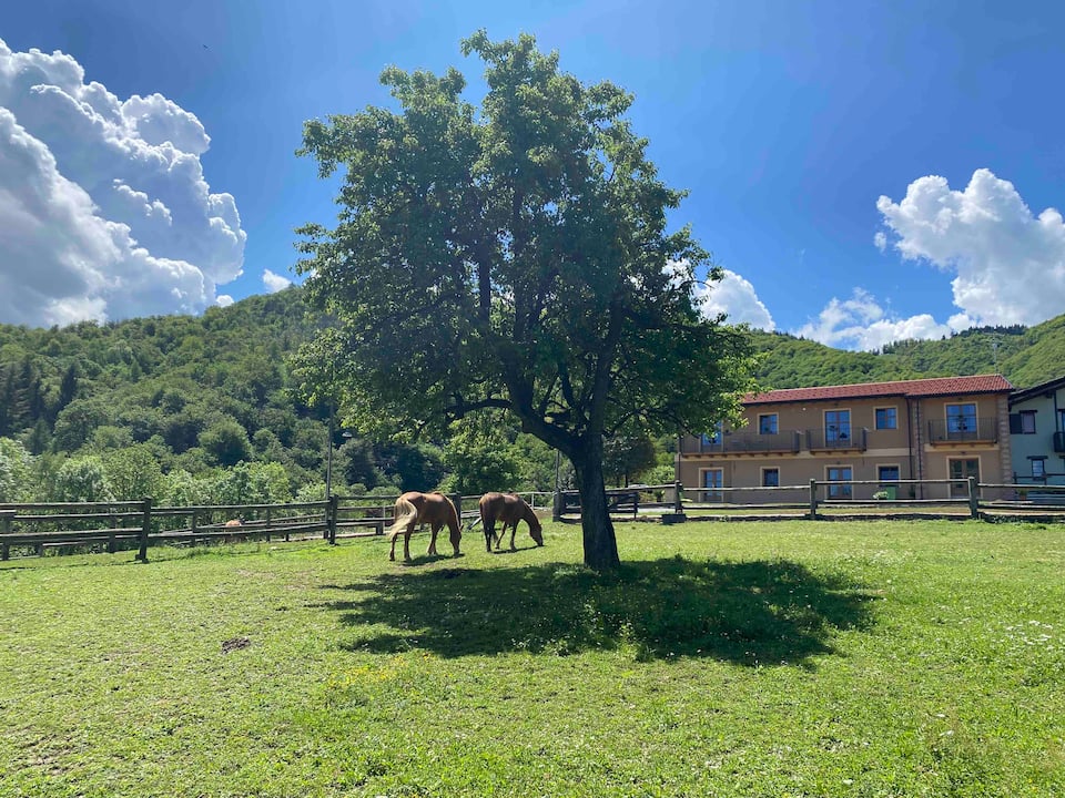 Ranch Enbrucà — zdjęcie 1