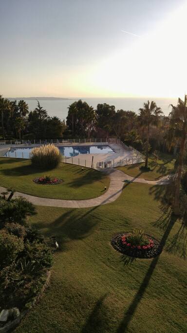 The view on garden and pool