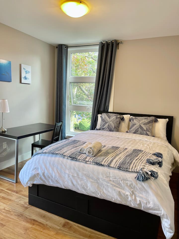 Downtown Halifax Vacation Rentals & Homes Halifax, Canada Airbnb