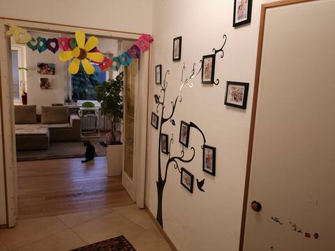 Cozy apartment in Bolzano - Air Conditioning