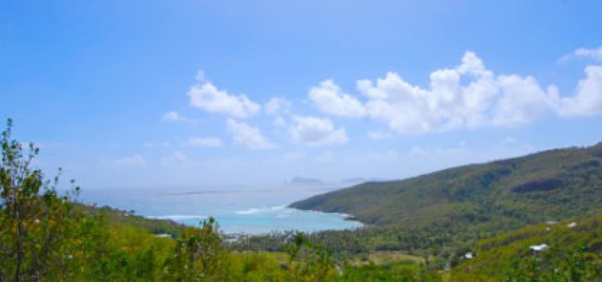 A panoramic view captures the lush green landscape leading down to a tranquil blue ocean. The horizon is defined by the islands of Battowia and Balliceaux, set against a backdrop of bright blue skies dotted with fluffy white clouds.