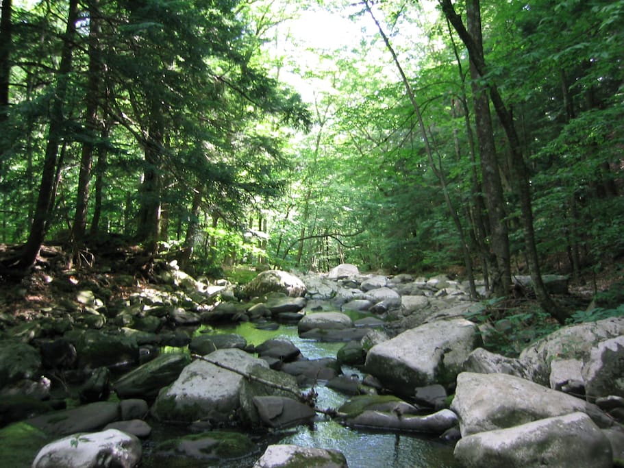 Summer stream