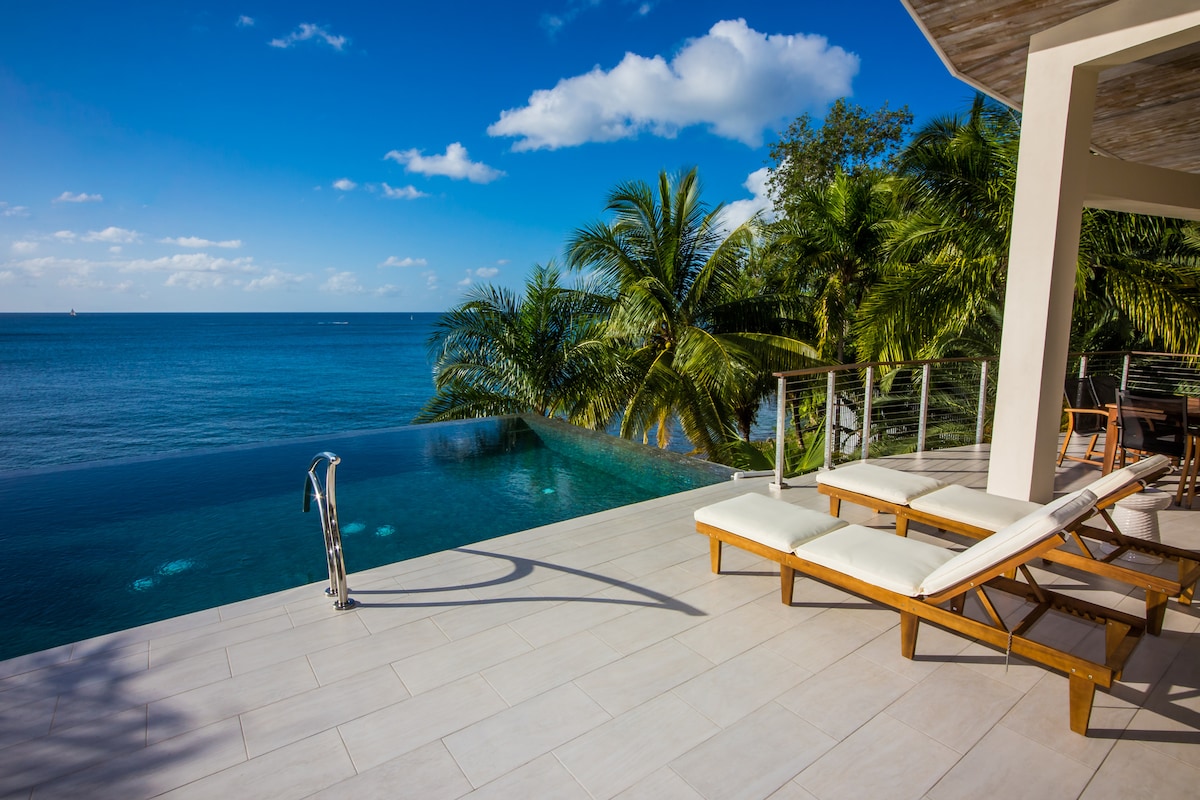 An infinity pool appears to blend seamlessly with the Caribbean Sea. Loungers provide a space for relaxation, while palm trees sway gently in the background. The expansive deck showcases a serene ocean view under a clear blue sky, framed by soft clouds.