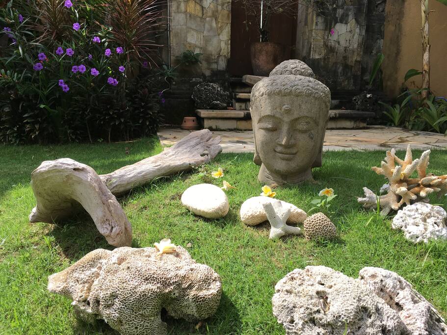 Yoga in the garden