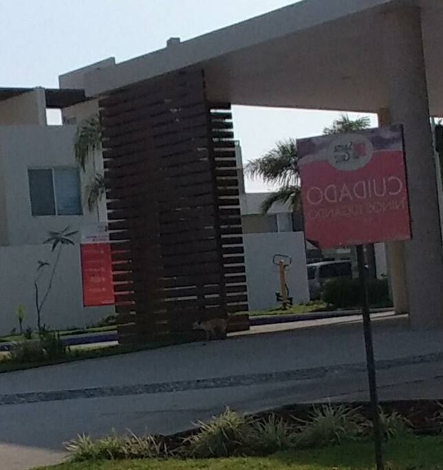 terraza