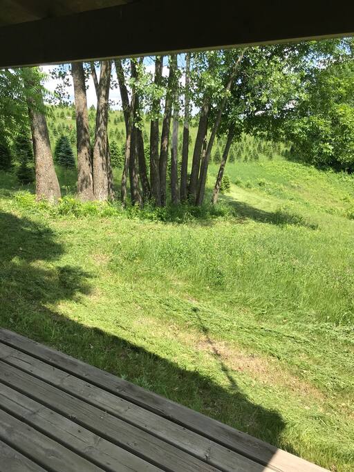 Beautiful forest and natural trails perfect for hiking!