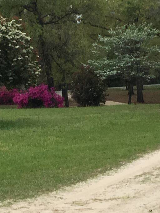 The grounds are beautiful in spring (seen here), summer & winter.