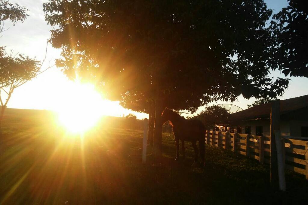 Fazenda