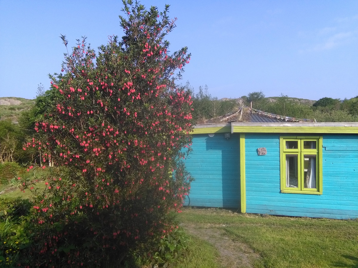 A colorful wooden house stands against a clear blue sky, complemented by vibrant flowered foliage nearby. The house features a bright blue exterior, with large windows framed in yellow, providing a cheerful appearance amidst the surrounding greenery.