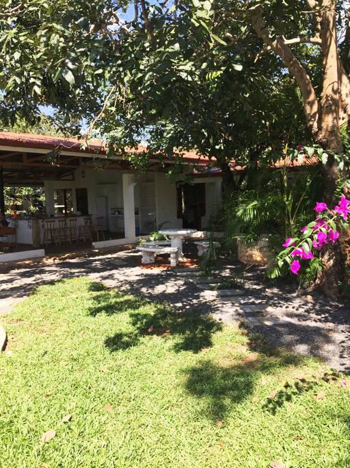 The house