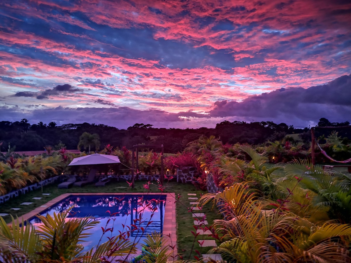 A tranquil pool area is surrounded by lush greenery and vibrant tropical plants. The sky displays a stunning array of colors at sunset, casting a warm glow over the scene. Comfortable seating and loungers are positioned for relaxation beside the inviting water.