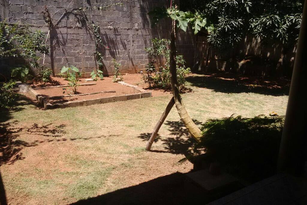 Quintal nos fundos