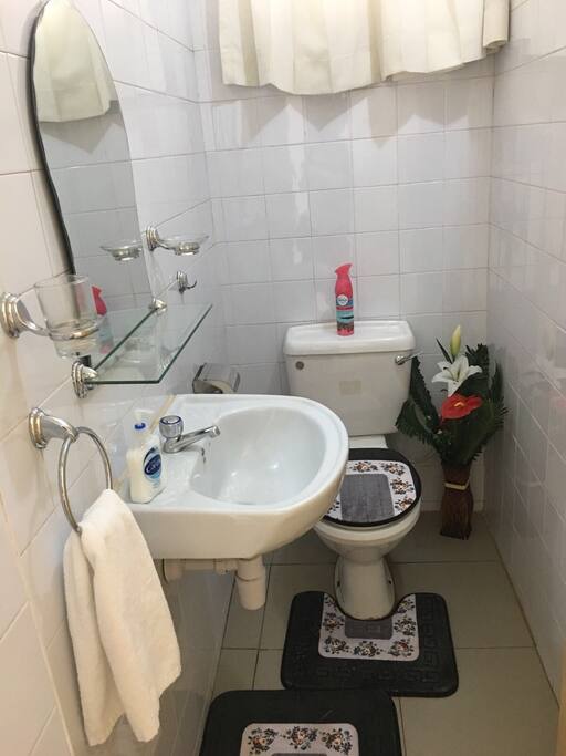 Immaculate Powder room