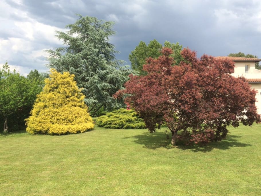 Jardin paysager devant la maison