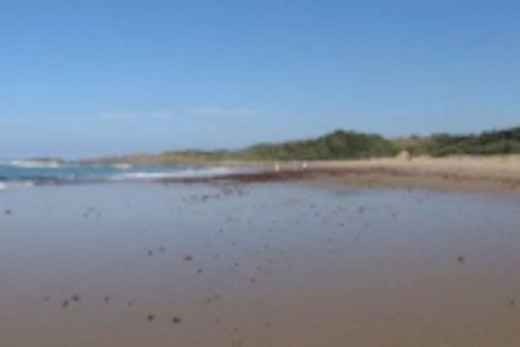 Beach at early morning low tide - a never-ending source of interest.