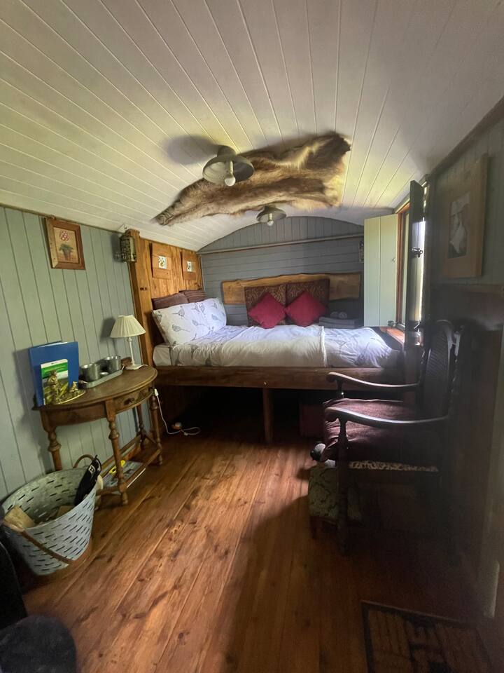 Área de la habitación