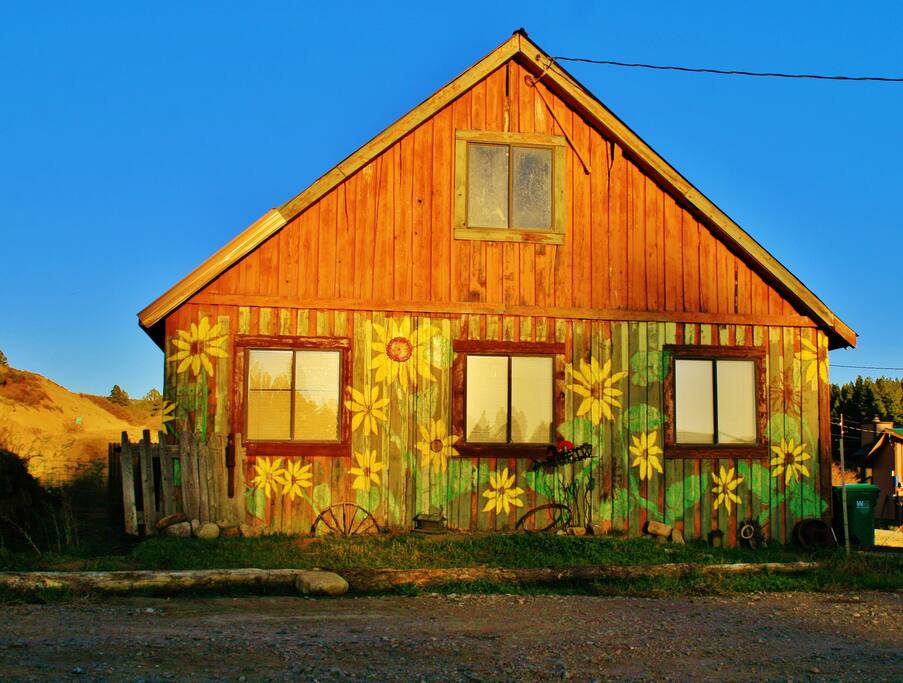 The "Sunflower" barn is a local land mark at our driveway.