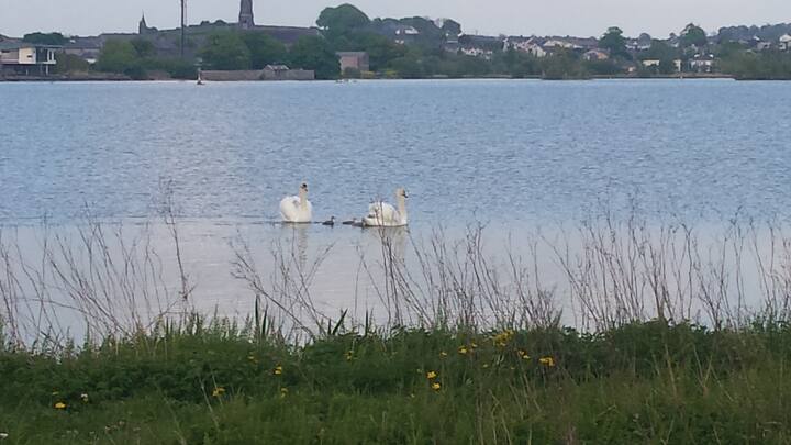 Welcome to Loughrea