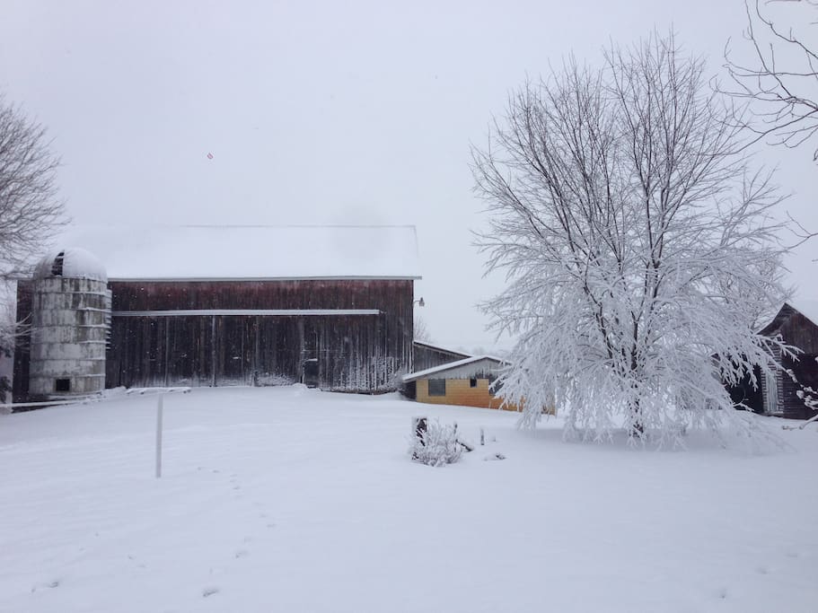 Winter Wonderland