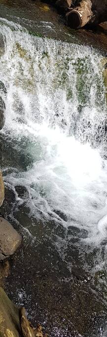 Walk out of your door and straight into the fresh water pool of Tapatapao