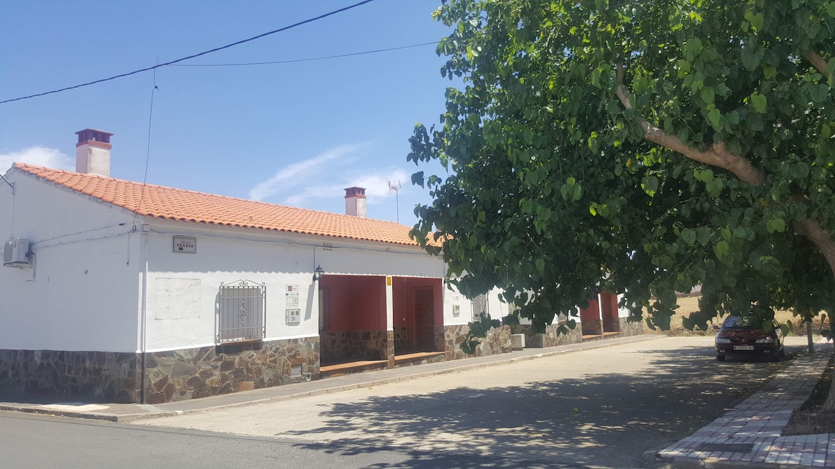 A row of charming rural houses is viewed from the street, each with white exteriors and red roofs. A large tree provides shade in the foreground, and pedestrians can appreciate the well-maintained facade with stone accents and bright red doors.