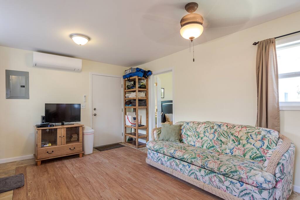 Living area with queen pull-out couch