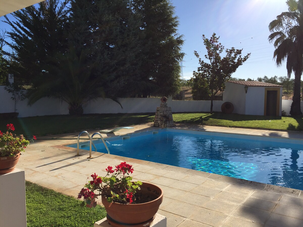 A sunlit pool area is surrounded by greenery, with a clear blue pool reflecting the sky. Potted flowers add color to the scene, while a stone wall and trees create a peaceful backdrop, inviting relaxation and enjoyment of the outdoor space.