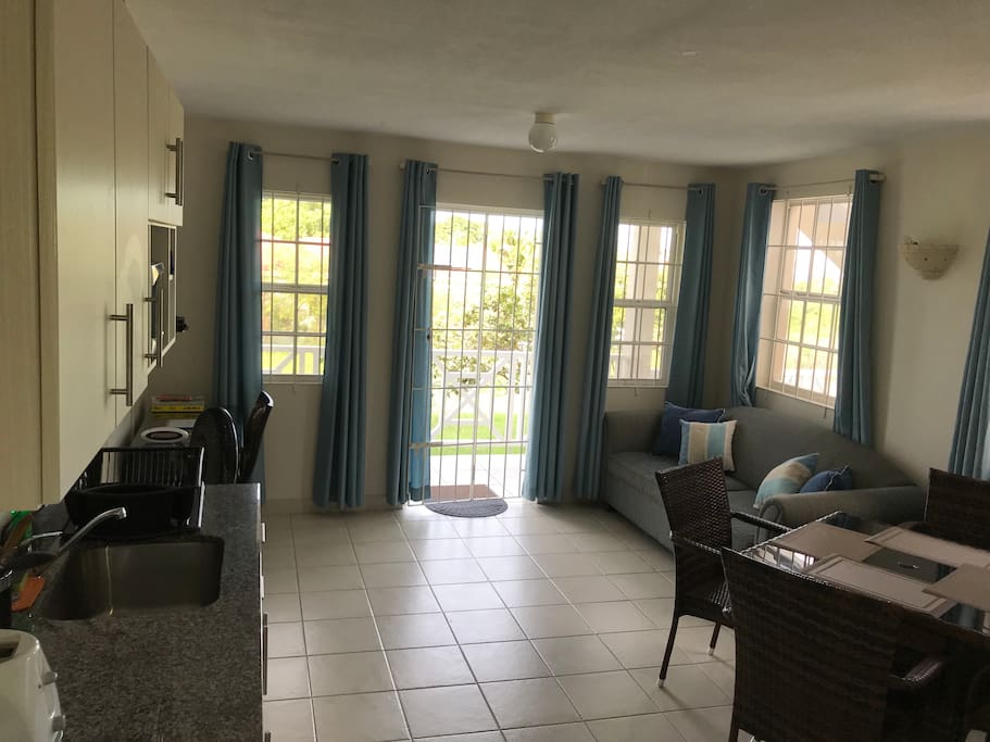 Kitchenette & Living Area