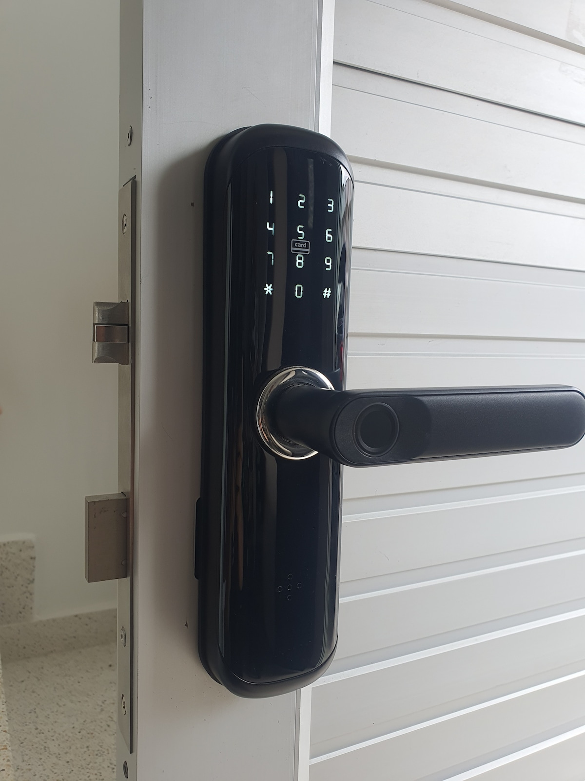 A modern keyless entry system is displayed on the door. The sleek black panel features a numeric keypad for code input, accompanied by a round handle. The door's minimalistic design and clean lines offer a contemporary look, suitable for secure access to the apartment.